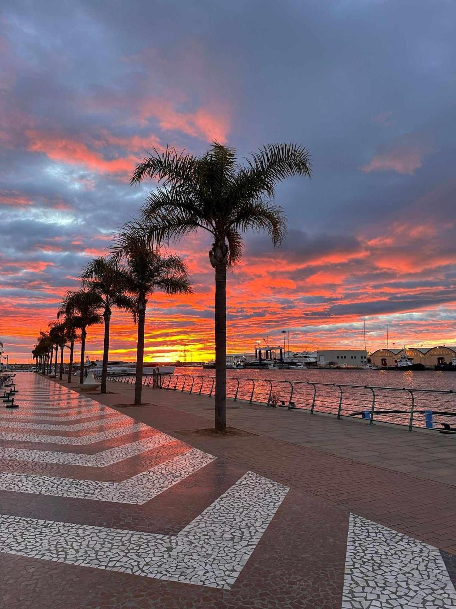Apartament Ambar Gandia Playa-Grao Con Piscina Parking Ideal Para Familias 외부 사진